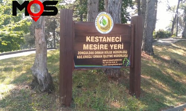 Karadeniz Ereğli Kestaneci Piknik Alanı